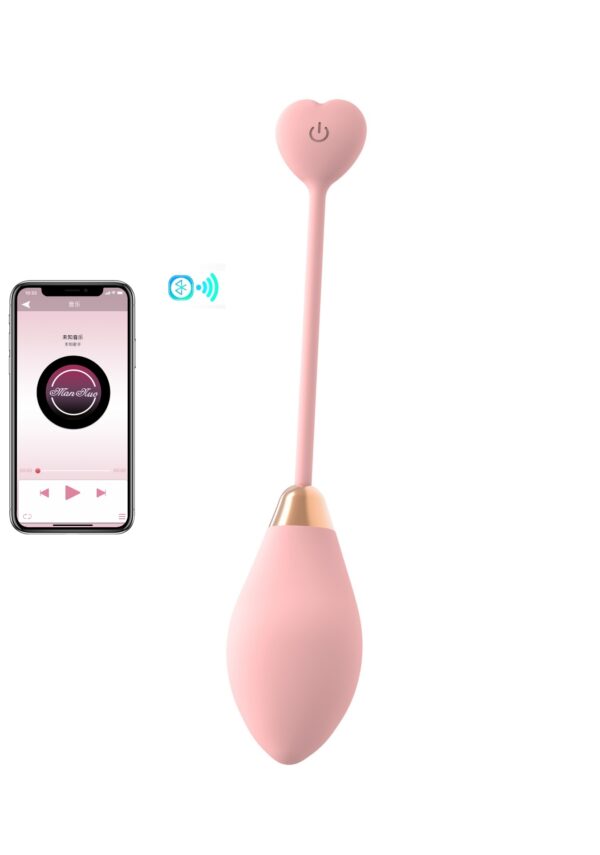 Phone App Controlled Wearable Egg Vibrator Luxury Sex Toy