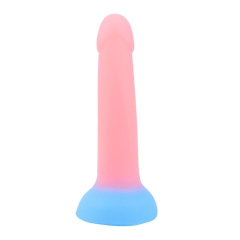 Glow in the Dark Dildo Sex Toy – LKsextoys.com